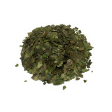 Guayusa
